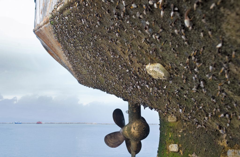 LIFESTYLE  | LUCHA CONTRA EL BIOFOULING