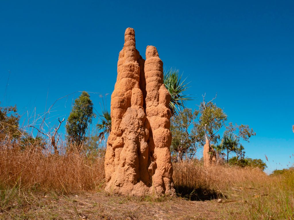 DESTINOS  | SALVAJE Y ESPECTACULAR | TOP END